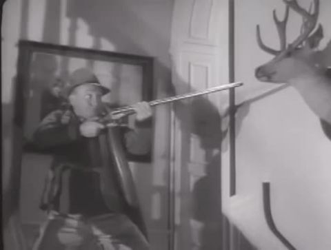 A Palm Beach történet