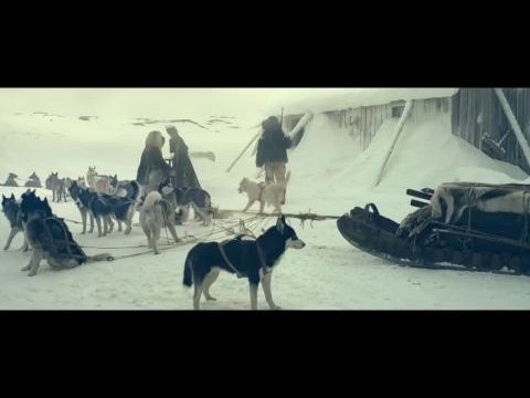 Nadie quiere la noche