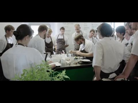 Noma My Perfect Storm