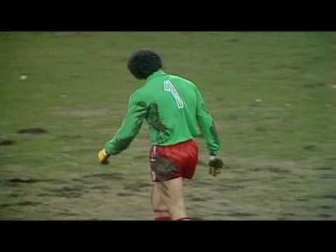 I Believe in Miracles