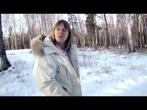 Sarah Palin: You Betcha!