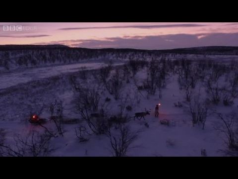 All Aboard! The Sleigh Ride