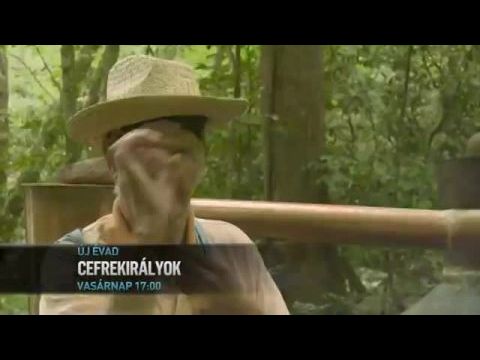 Cefrekirályok