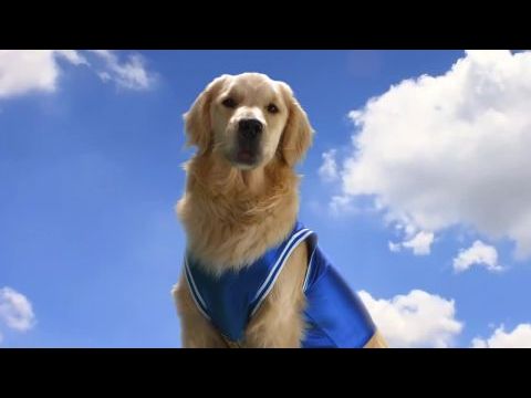 Szájkosaras történetek – Majombaj