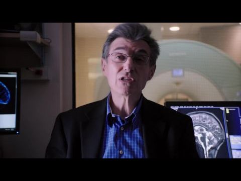 Lo and Behold, Reveries of the Connected World