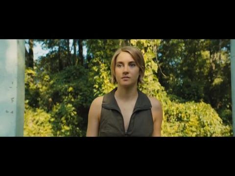 A beavatott-sorozat: A hűséges