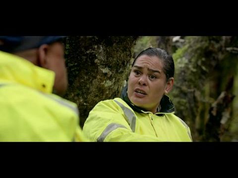 Vademberek hajszája