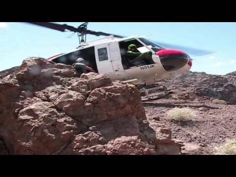 The Phoenix Incident