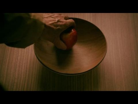 Akéb sőnket - Nőj meg, teknős!