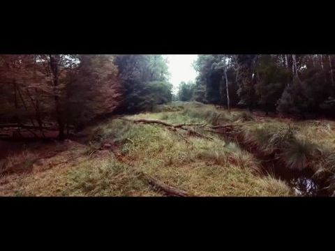 Virus: Extreme Contamination