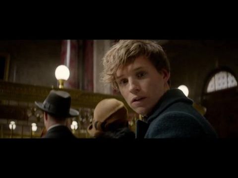 Legendás állatok és megfigyelésük