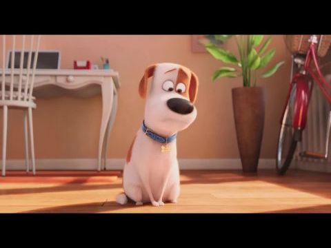 A kis kedvencek titkos élete