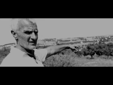 Seuso 2 - A Seuso kincsek rejtélye folytatódik