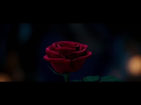 A szépség és a szörnyeteg