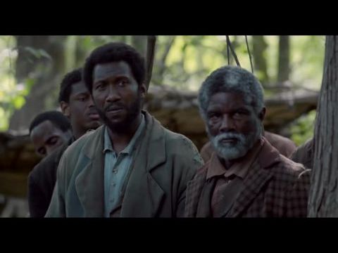 Harc a szabadságért