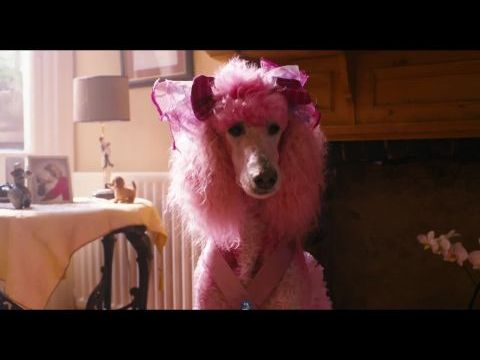 Mázli, a csodakutya