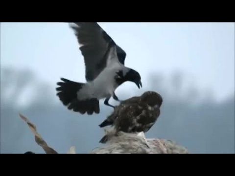 Vad Magyarország - A vizek birodalma