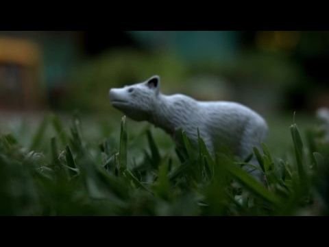 Crespo (La continuidad de la memoria)