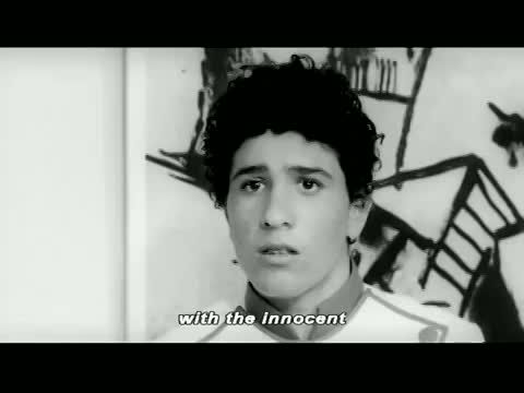 Madarak és ragadozó madarak