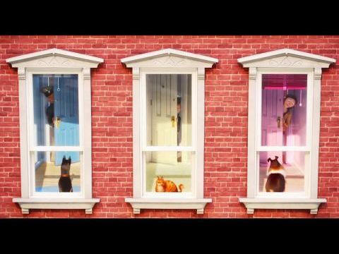 A kis kedvencek titkos élete