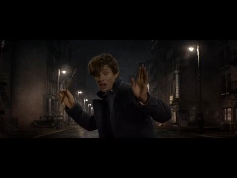 Legendás állatok és megfigyelésük