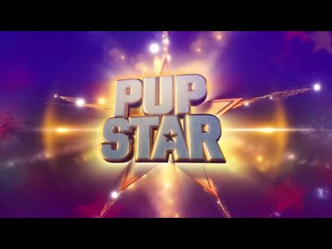 Szájkosaras történetek – Ebcsillag születik