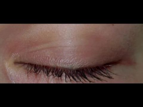 A kaptár – Utolsó fejezet