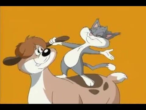 Animaniacs: Wakko's Wish