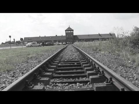 Three Days In Auschwitz