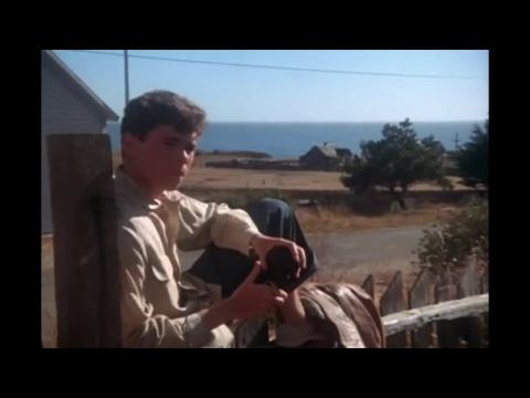 Kamaszkorom legszebb nyara