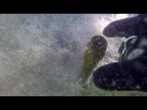 Expedíció az ismeretlenbe