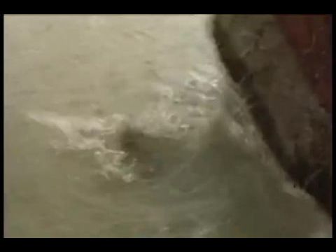 Robin Hood, a tolvajok fejedelme