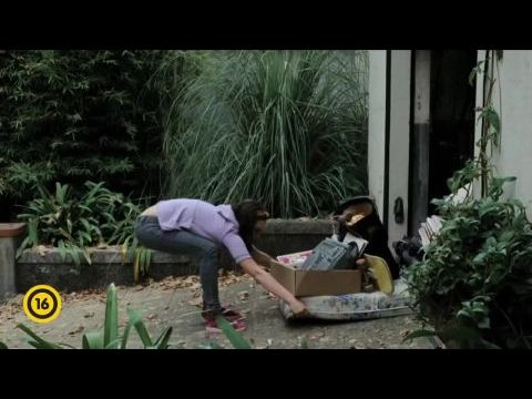 Nyitott ajtók, ablakok