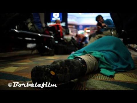 A Hópárduc talpra áll