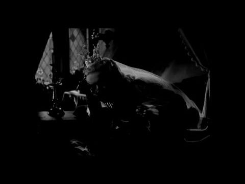 Szépség és szörnyeteg