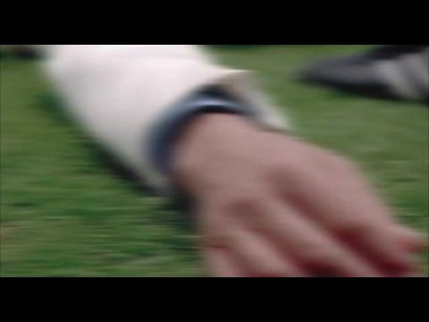 A rózsaszin párduc