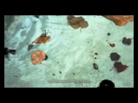 Godard: Búcsú a nyelvtől