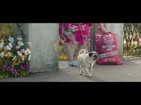 Újrahasznosított szerelem