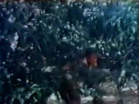 James Bond: Szigorúan bizalmas