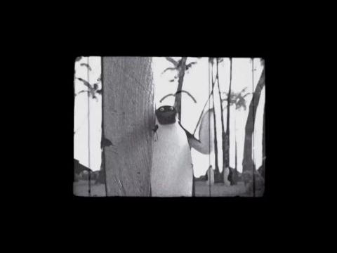 Vigyázz, kész, szörf!