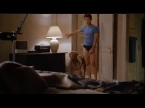 Egyik kopó, másik eb