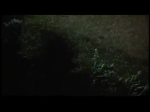 Frászkarika - Veszélyes éj