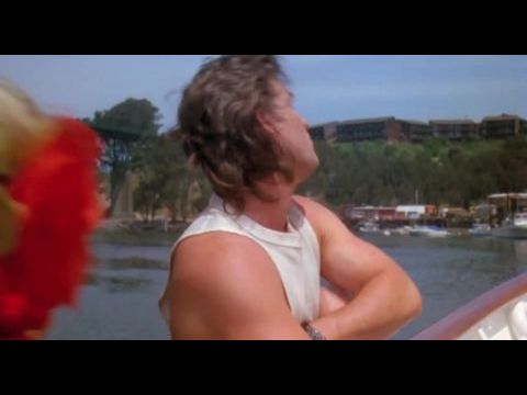 A vasmacska kölykei