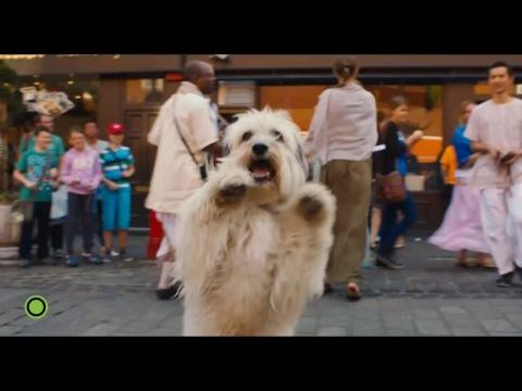 Mázli, a csodakutya