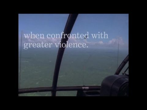 Concerning Violence