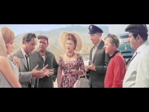 Bolond, bolond világ