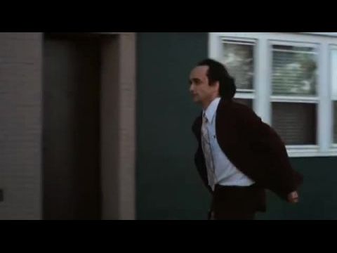 Kánikulai délután