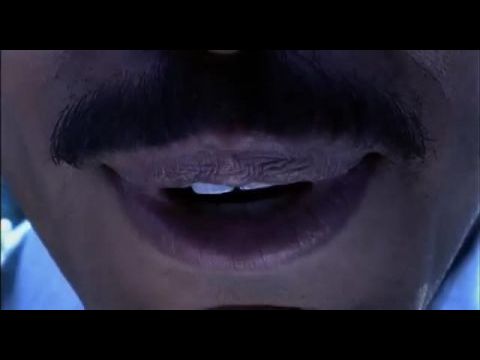 Hedwig és a Mérges Csonk