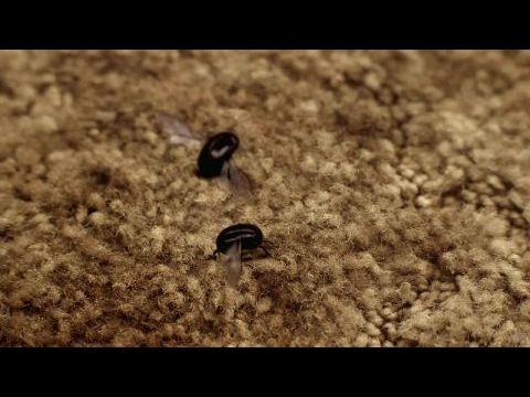 John a végén padlót fog