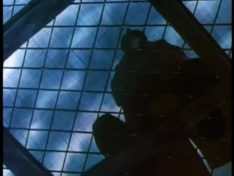 Mentőcsapat a kenguruk földjén